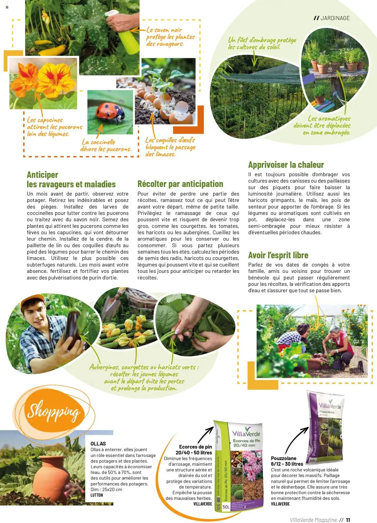  | Page: 11 | Produits: Plantes, Haricots verts, Savon, Pois