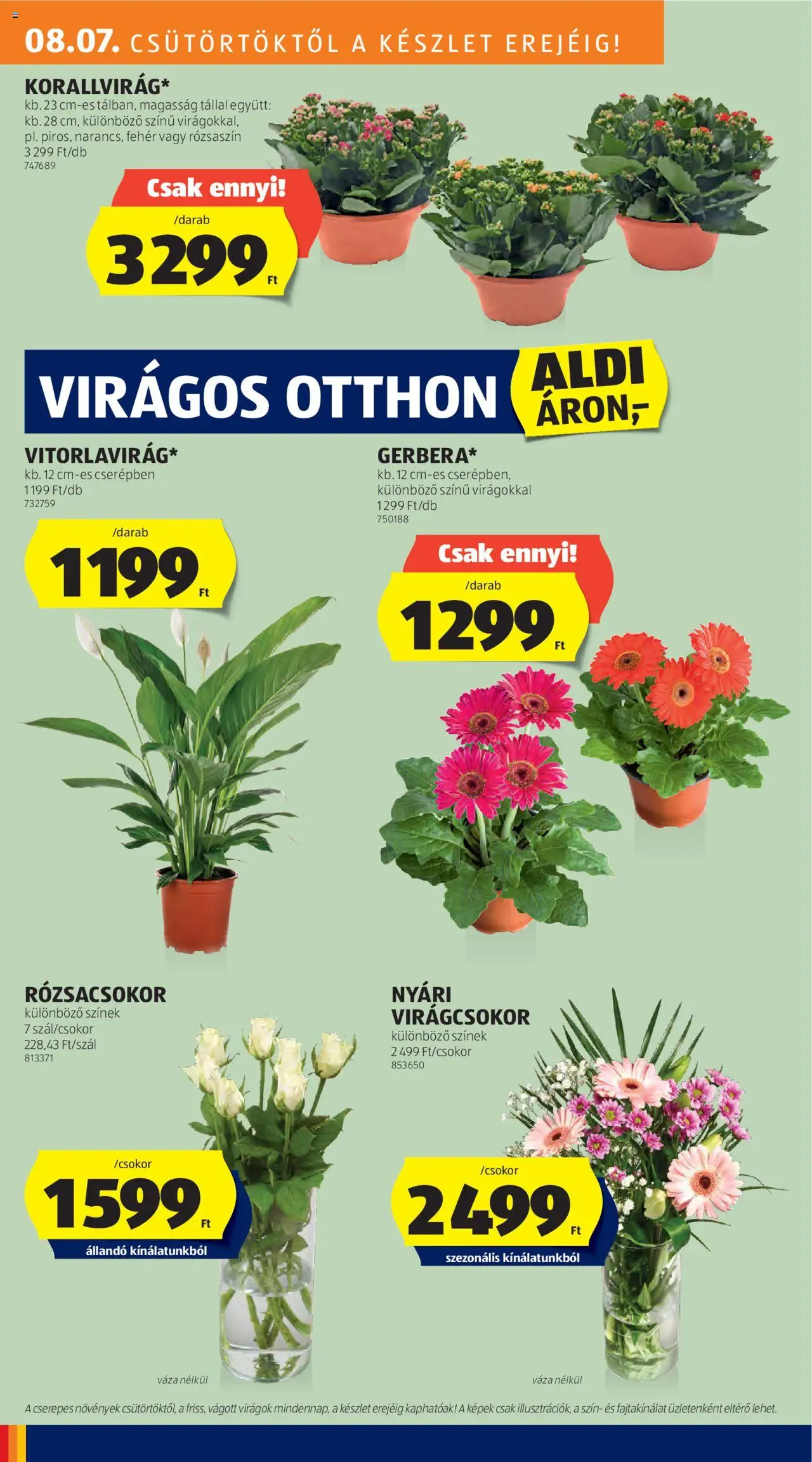Aldi akciós ujság - amely érvényes a következő dátumtól: 07.08.2025 | Oldal: 28 | Termékek: Virágok, Váza