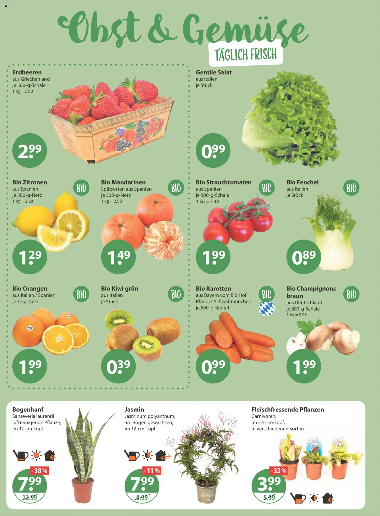 V-Markt - Schwaben / Oberbayern – gültig ab 29.01.2026 | Seite: 4 | Produkte: Mandarinen, Champignons, Gemüse, Zitronen