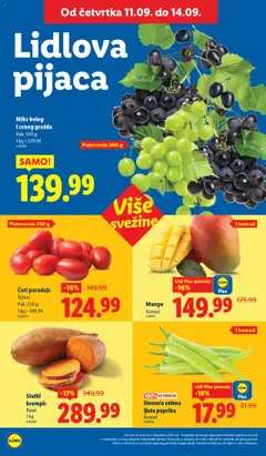Lidl katalog - važi od 11.09.2025 | Strana: 6