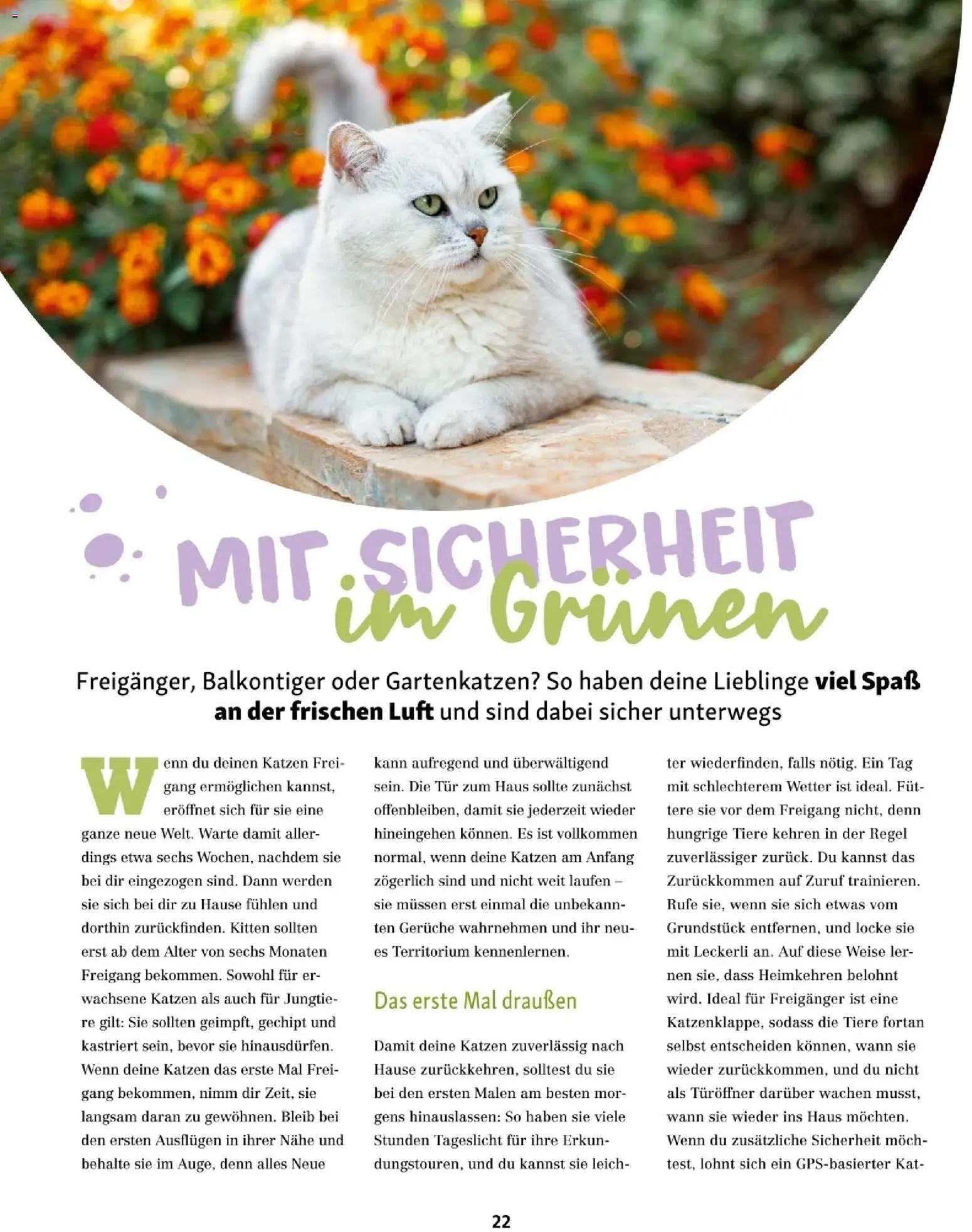 Die besten Angebote | Fressnapf Friends 02/26 ab 01.03.2026 | - Jetzt stöbern! | Austria