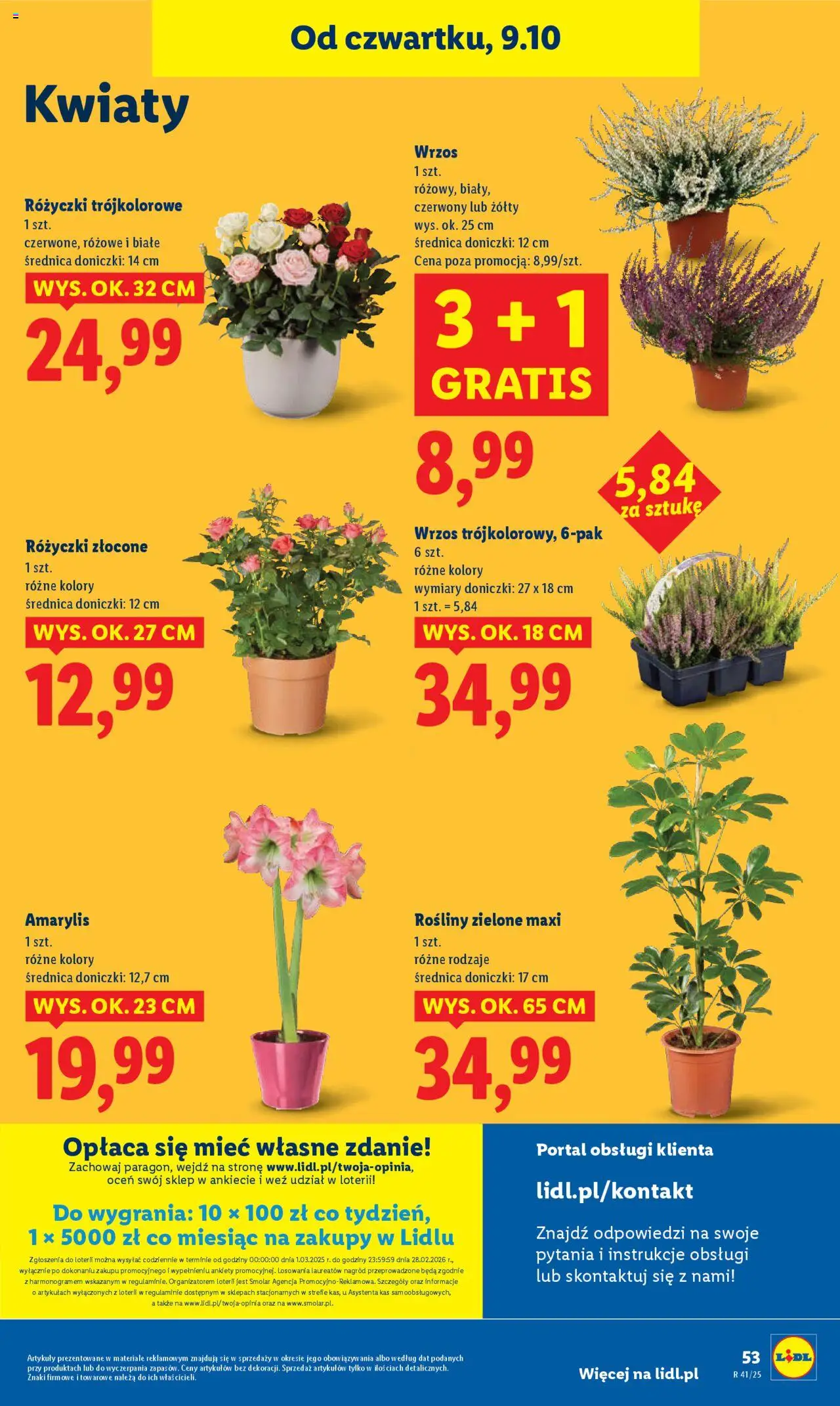 Lidl Gazetka od 09.10.2025 | Strona: 59 | Produkty: Amarylis, Wrzos, Rosliny, Kwiaty