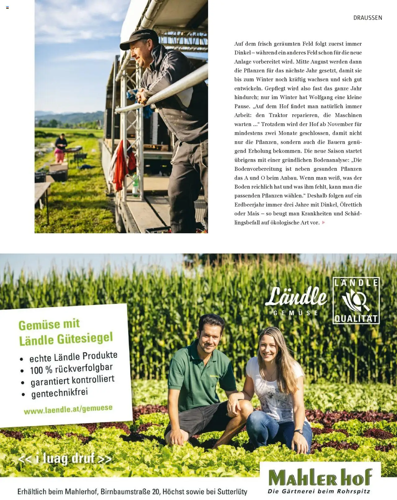 Sutterlüty B’sundrig Magazine gültig ab 18.06.2025 | Seite: 41 | Produkte: Gemüse