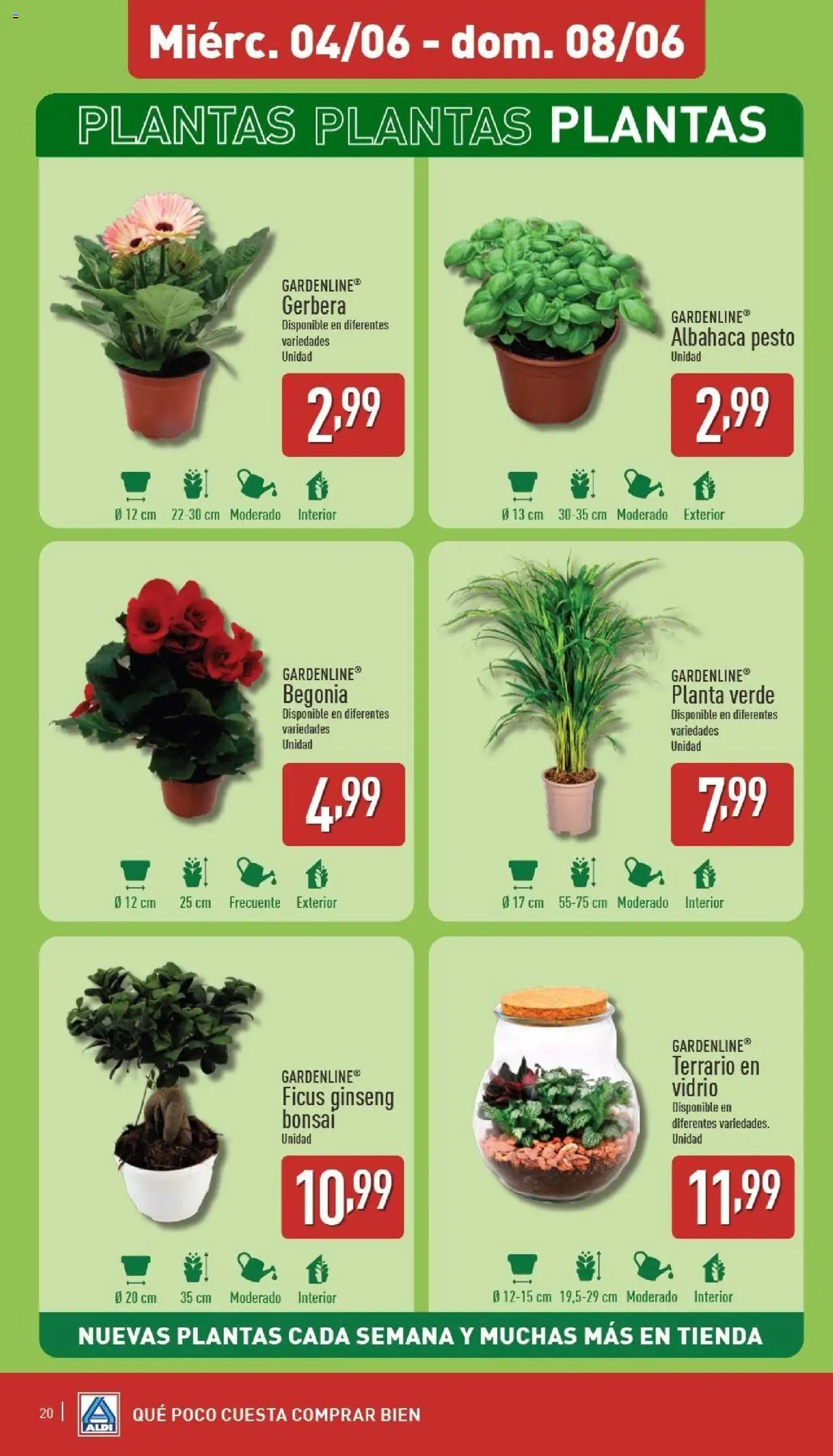 Aldi folleto Península │ válido desde el 02.06.2025 | Página: 20