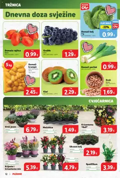 Plodine katalog | vrijedi od 17.09.2025 | Stranica: 12 | Proizvodi: Kelj, Grah, Grožđe, Rajčica