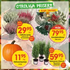 EKO - erbjudanden - Förhandsvisning av reklamblad från butik EKO aktuell från 27.10.2025 | Sida: 10