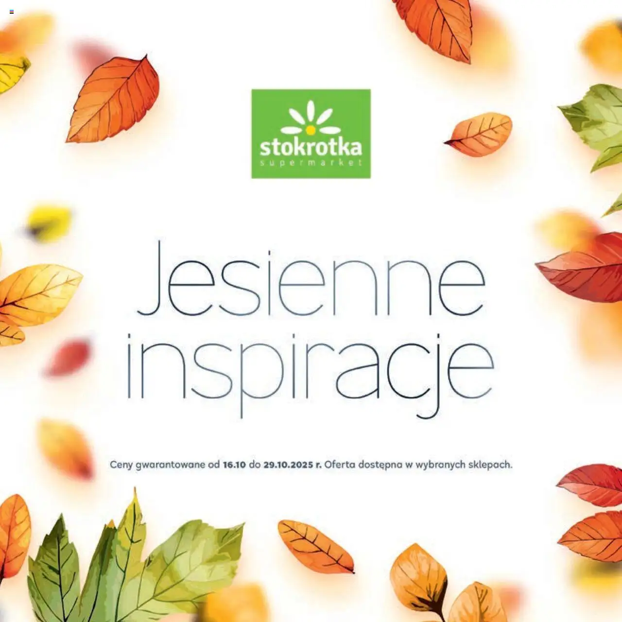 Stokrotka Gazetka - Jesiennie Inspiracje od 16.10.2025 | Strona: 1 | Produkty: Stokrotka