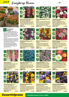 Landi ( Deaktivovane pre Letakomat )  Aktionen ab 07.01.2026 gültig | Seite: 32 | Produkte: Vase