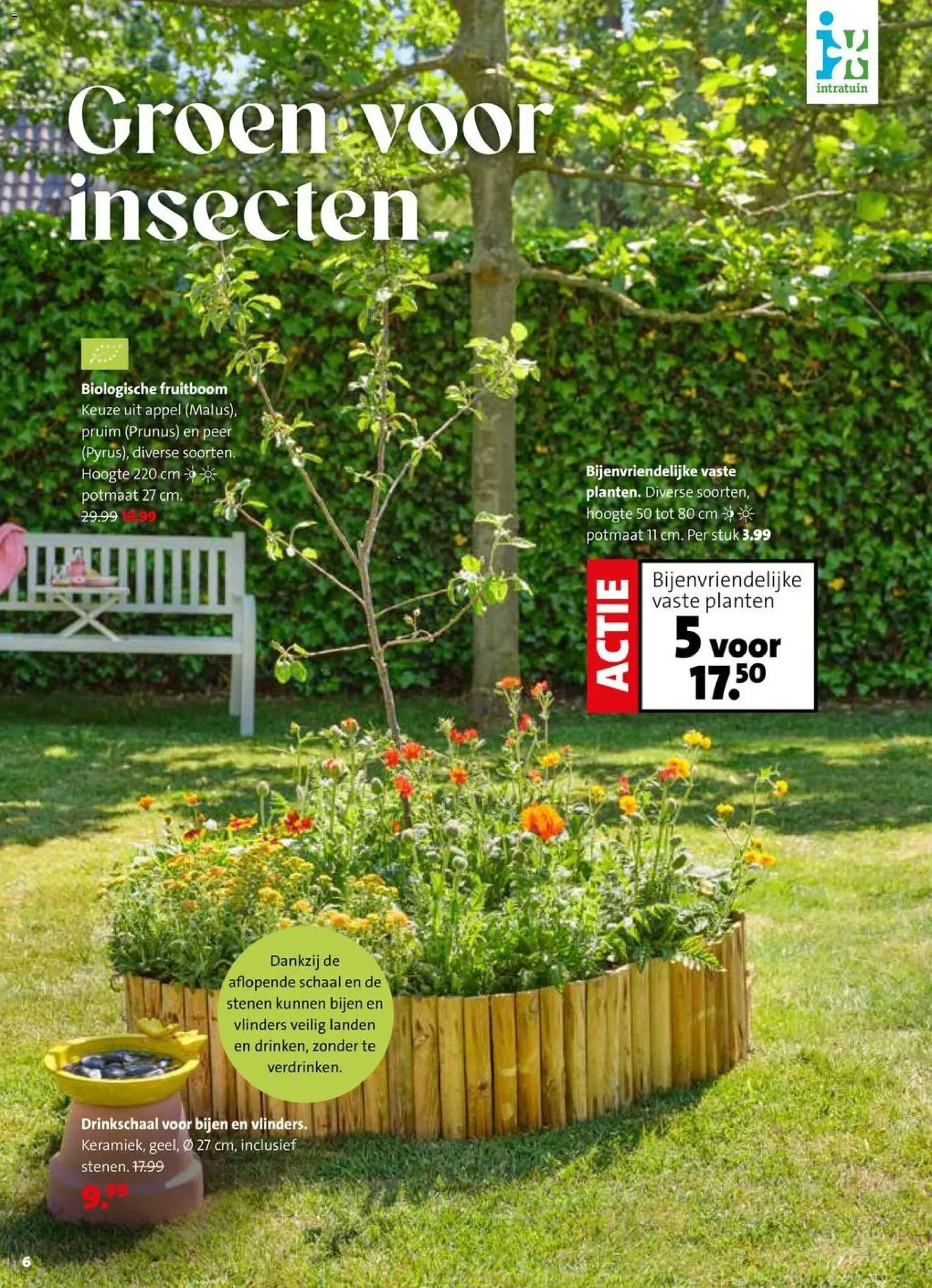 {H1} | Pagina: 6 | Producten: Schaal, Appel, Peer, Pruim