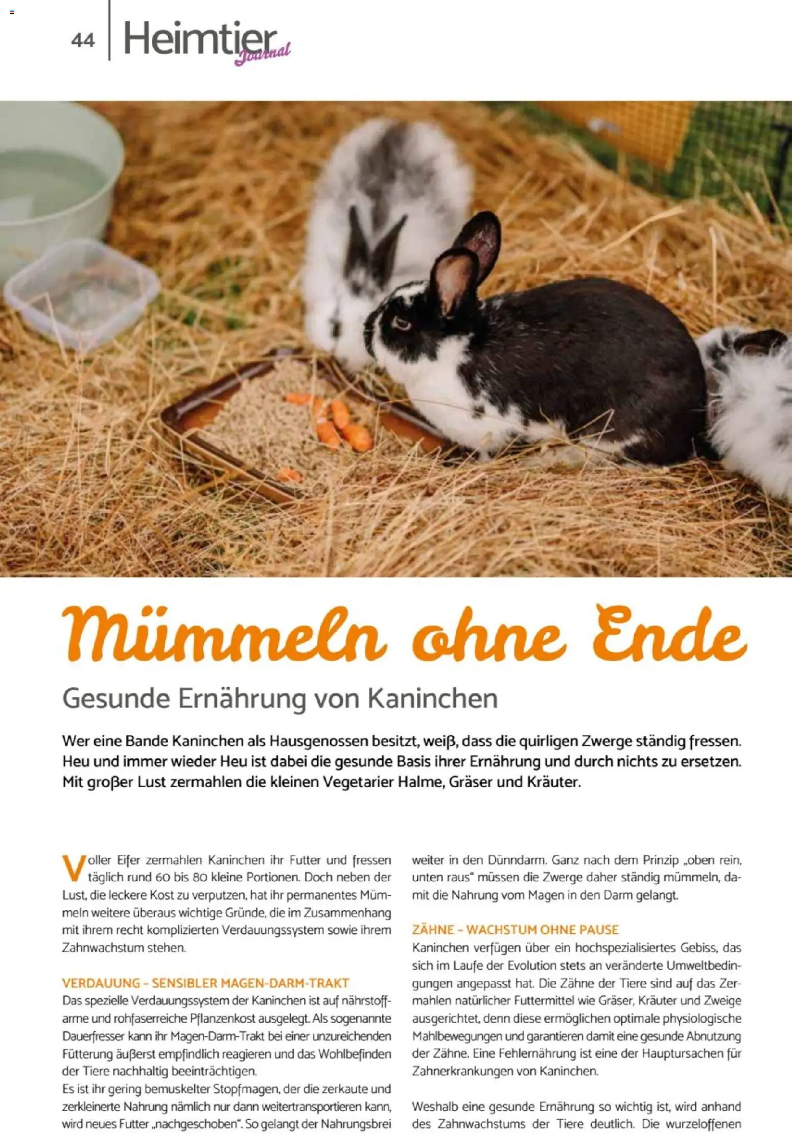 zookauf Heimtier Journal – gültig ab 01.04.2026 | Seite: 44 | Produkte: Kaninchen