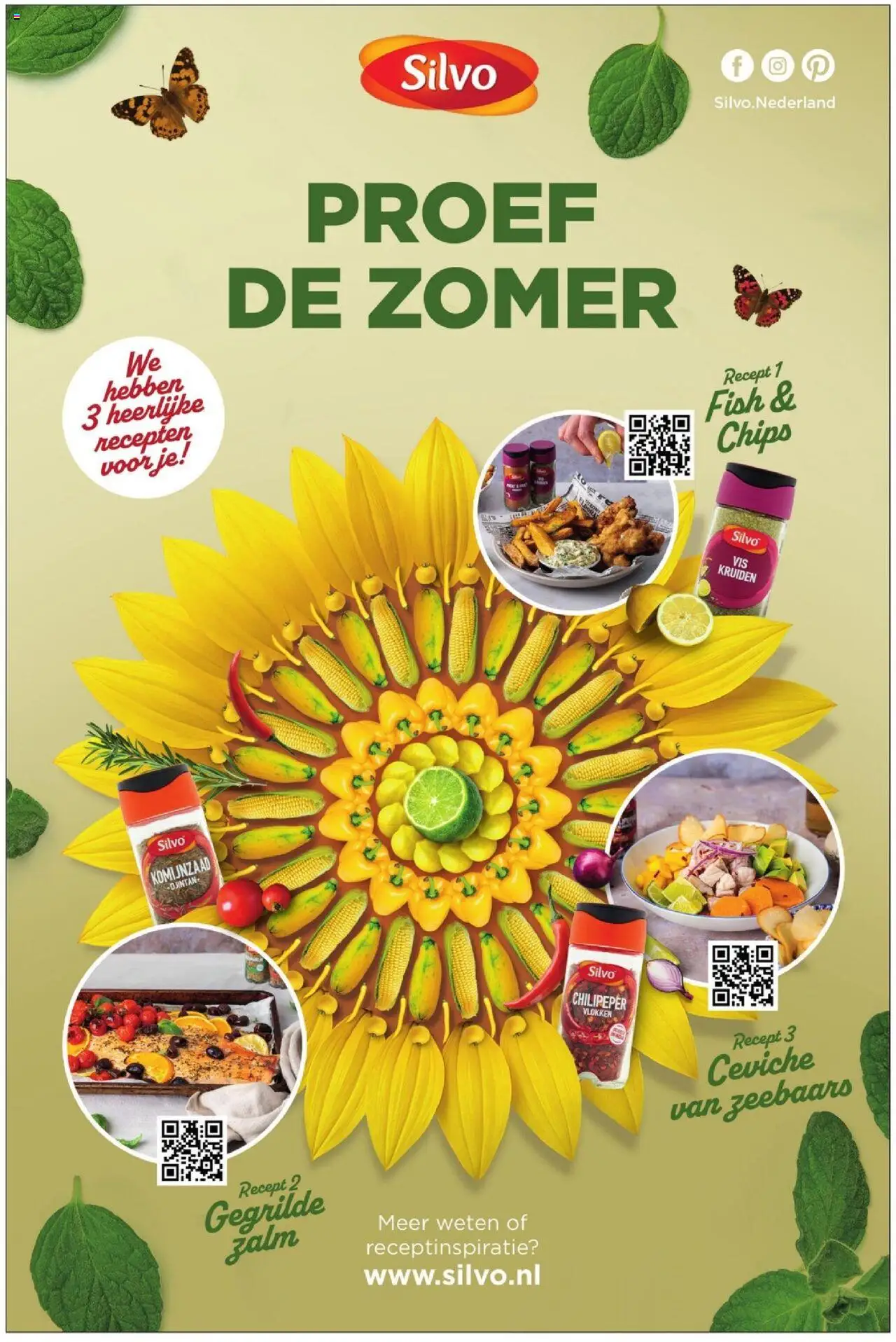 {H1} | Pagina: 25 | Producten: Chips, Vlokken, Zalm