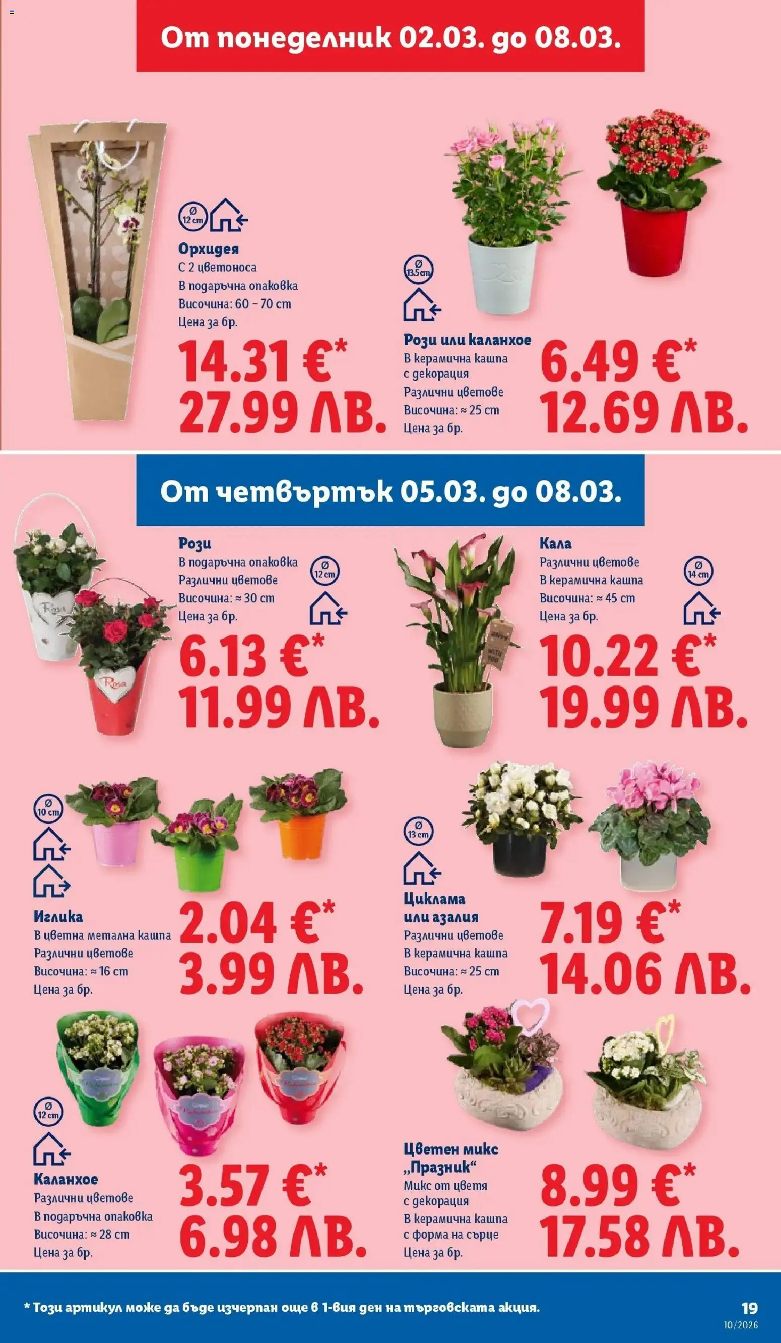 {H1} | Страница: 19 | Продукти: Кашпа, Орхидея, Декорация