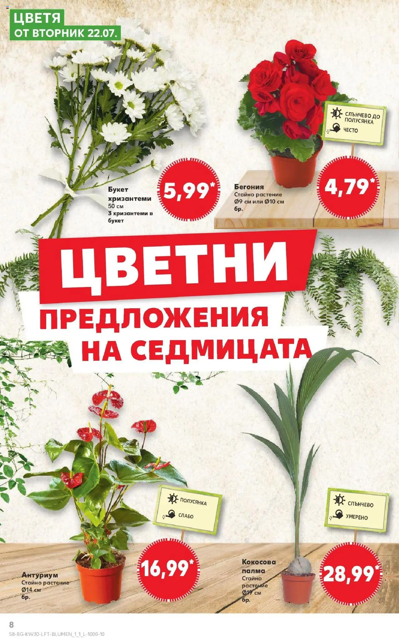  | Страница: 8 | Продукти: Палма