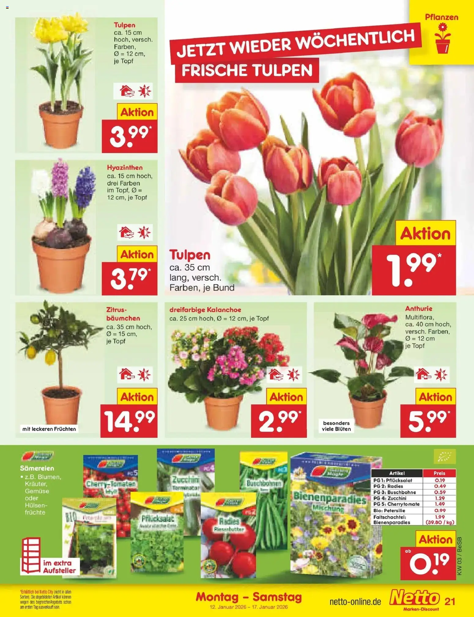 Netto Marken-Discount prospekt Kremmen	 – gültig ab 12.01.2026 | Seite: 21 | Produkte: Gemüse, Petersilie, Zucchini