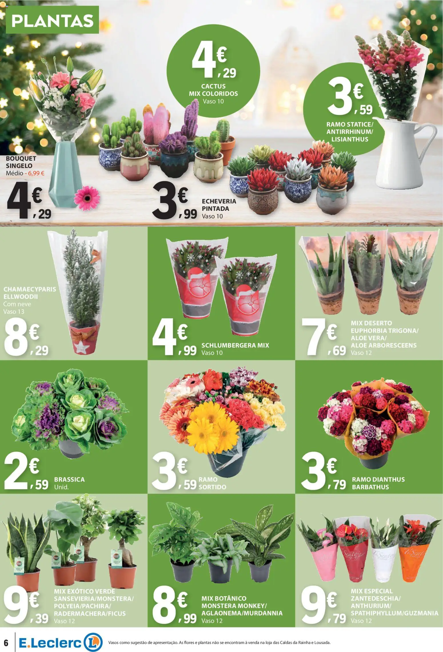 E.Leclerc Não Alimentar │ válido de 18.12.2025 | Página: 6 | Produtos: Flores, Vaso