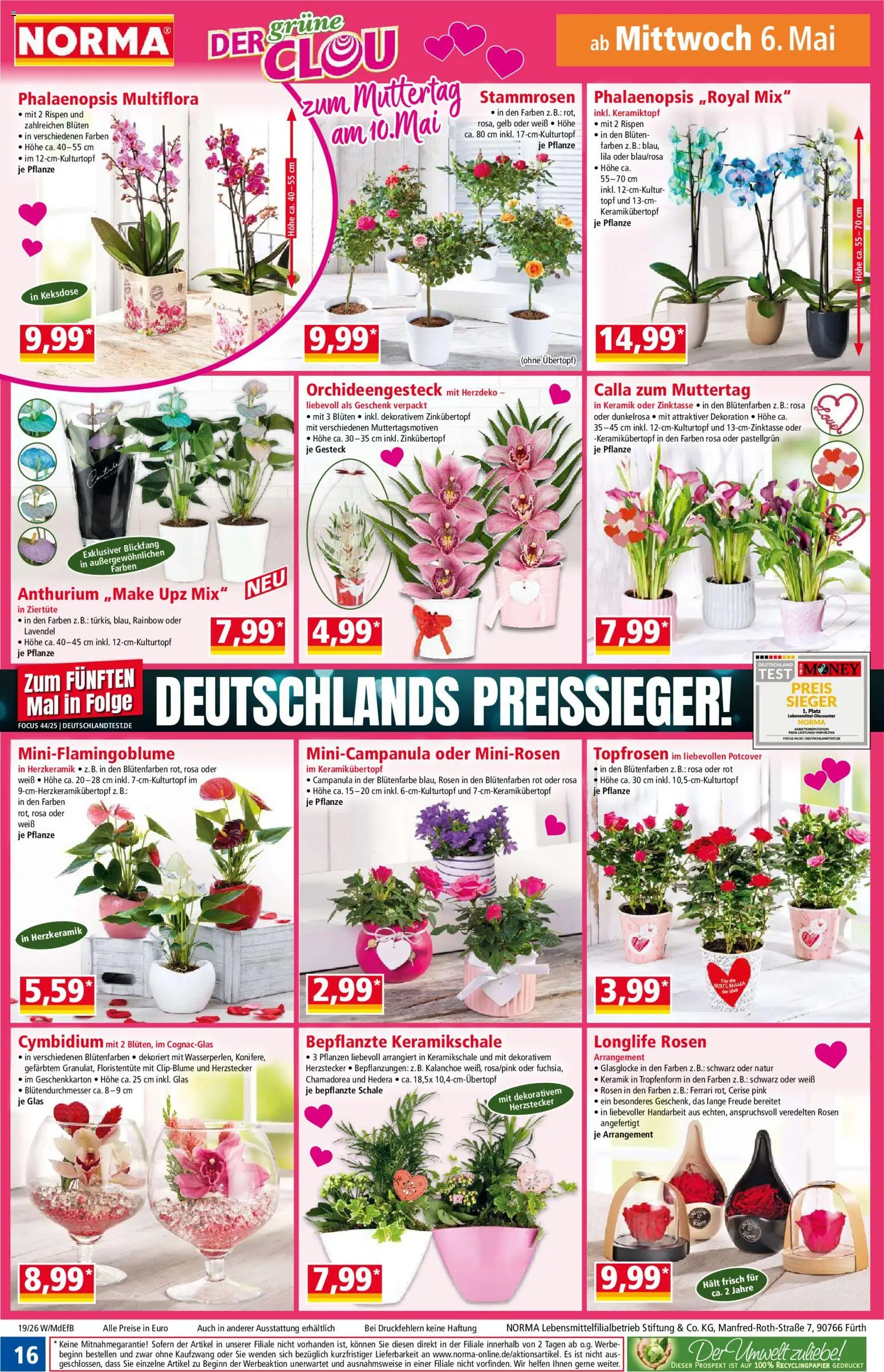 Norma Prospekt 	 – gültig ab 04.05.2026 | Seite: 16 | Produkte: Lavendel