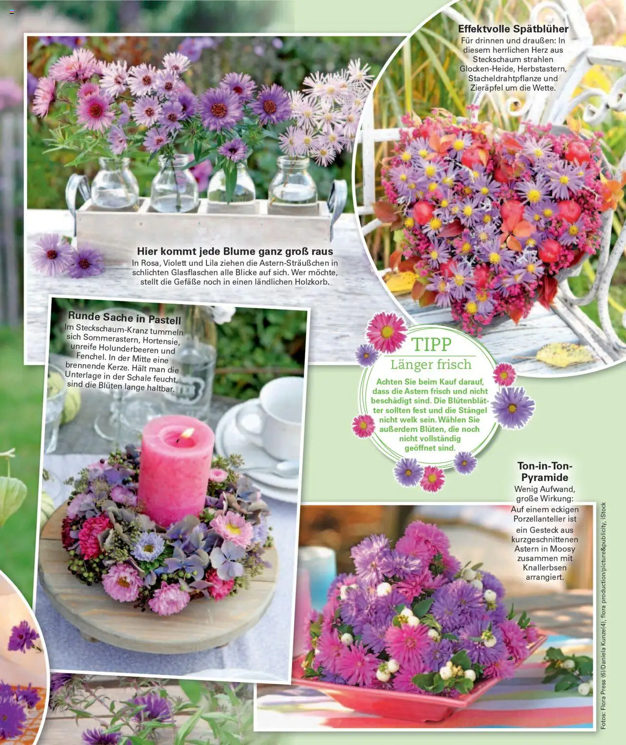 Poco Wohnwelt Herbst 2025 – gültig ab 01.09.2025 | Seite: 53