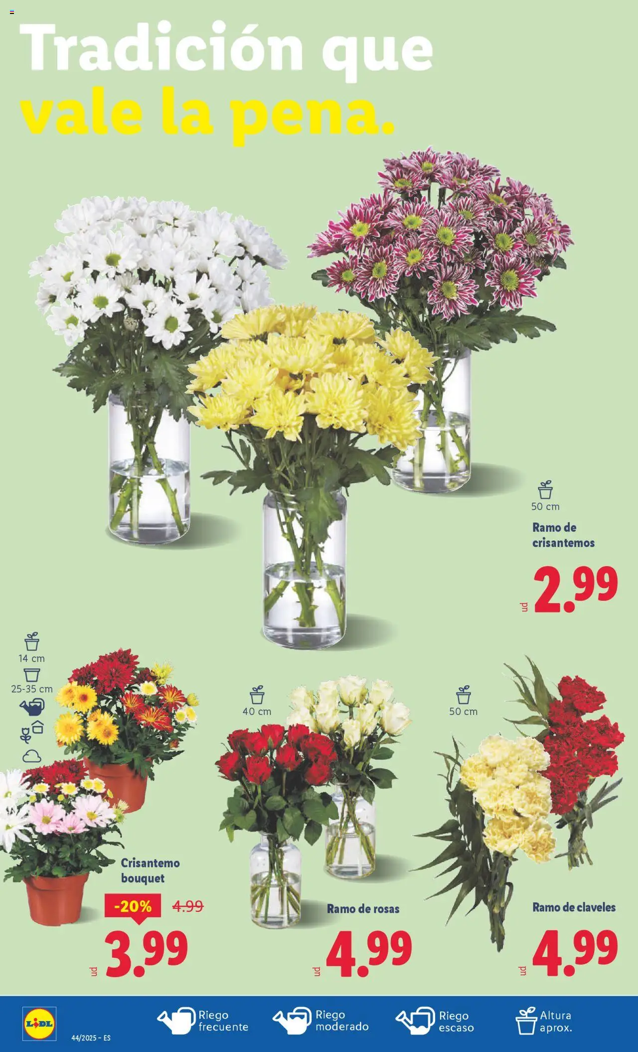 Lidl catálogo VAL │ válido desde el 27.10.2025 | Página: 14