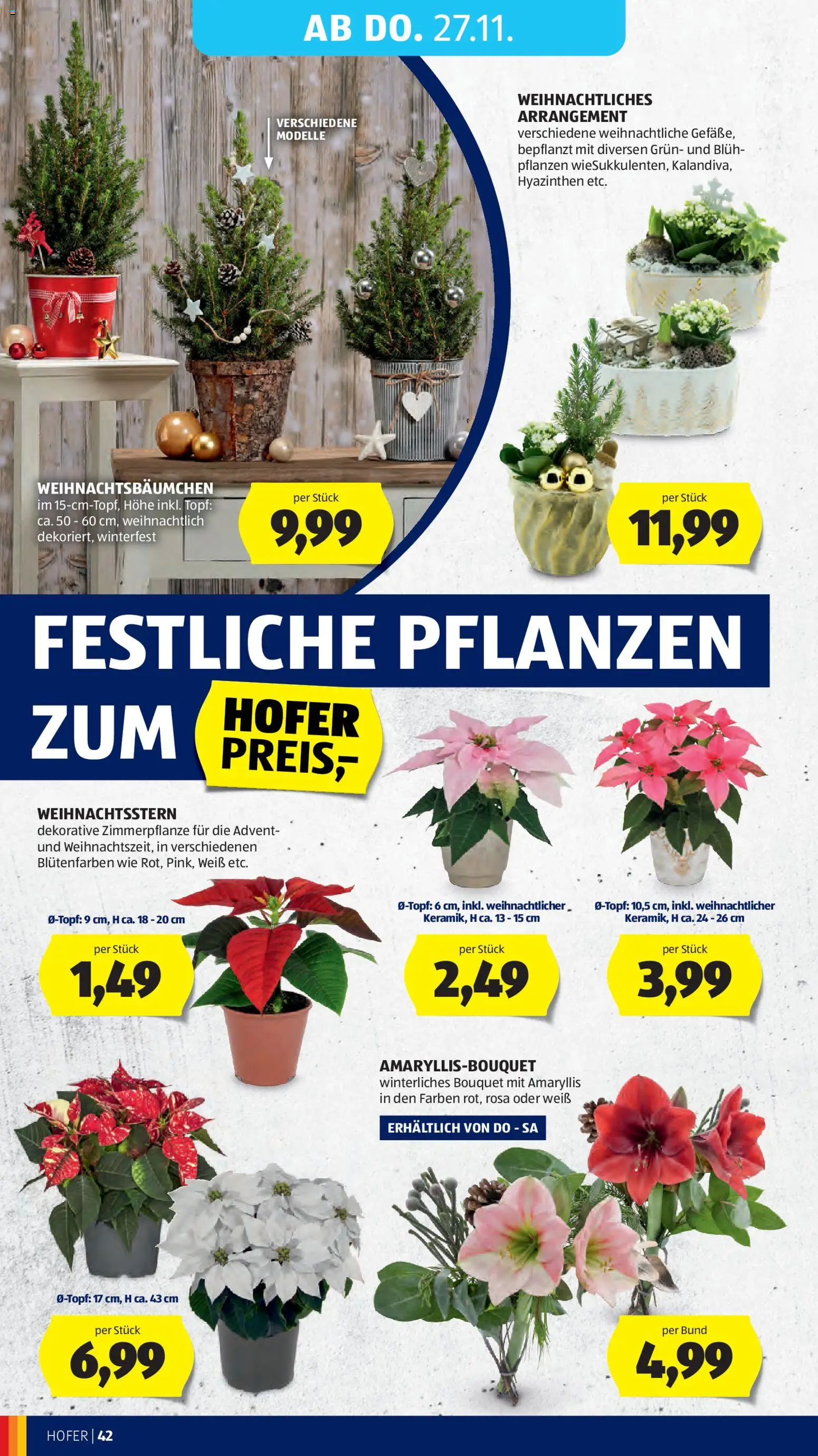 Hofer - Black Friday gültig ab 21.11.2025 | Seite: 56