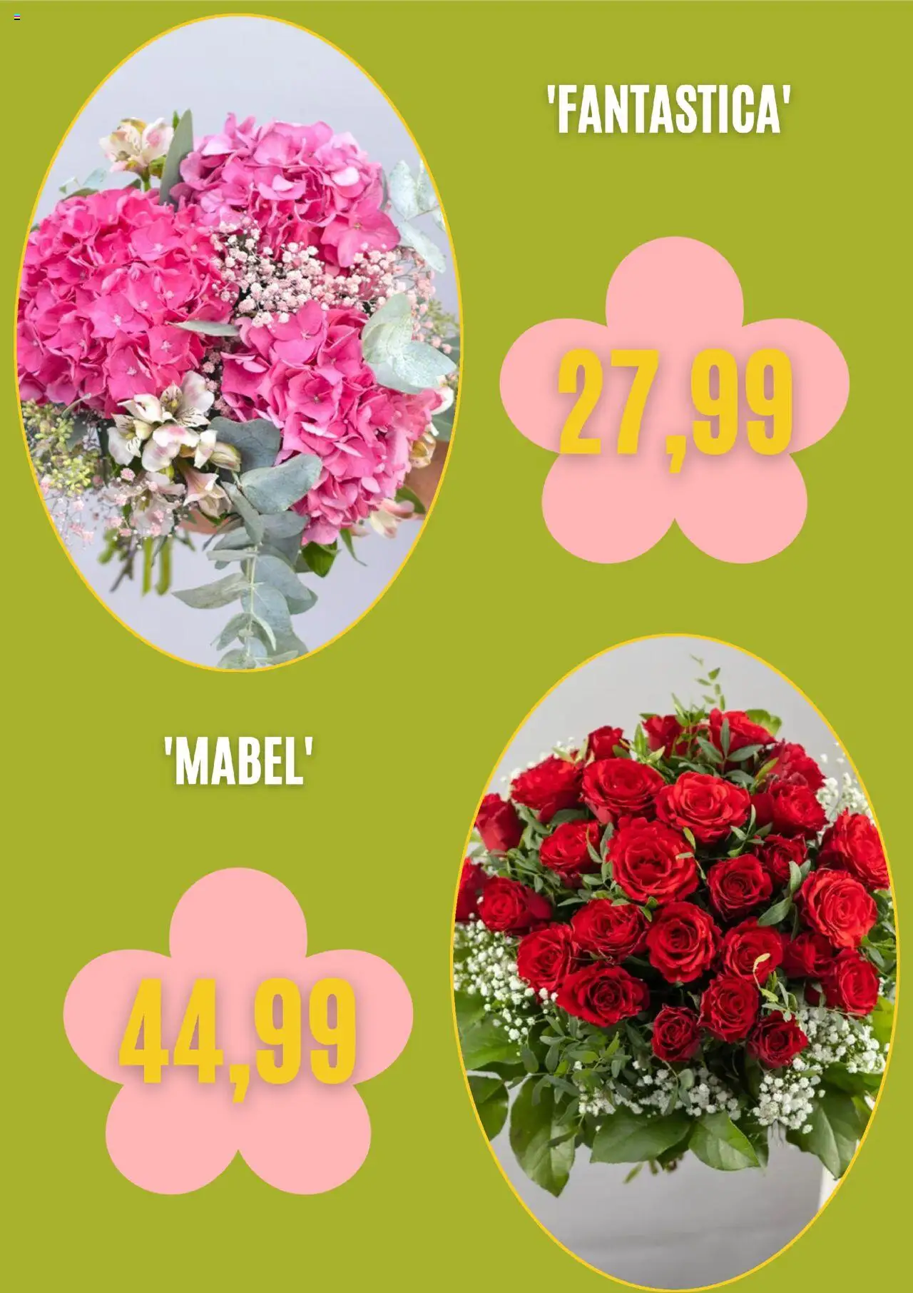 Blumen Risse Prospekt 	 - gültig ab dem 01.08.2025 | Seite: 5