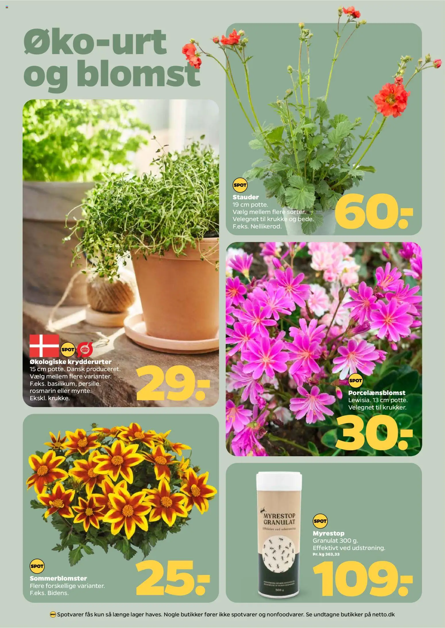 Netto tilbudsavis – gyldig fra 18.04.2026 | Side: 26 | Produkter: Mynte, Krukke