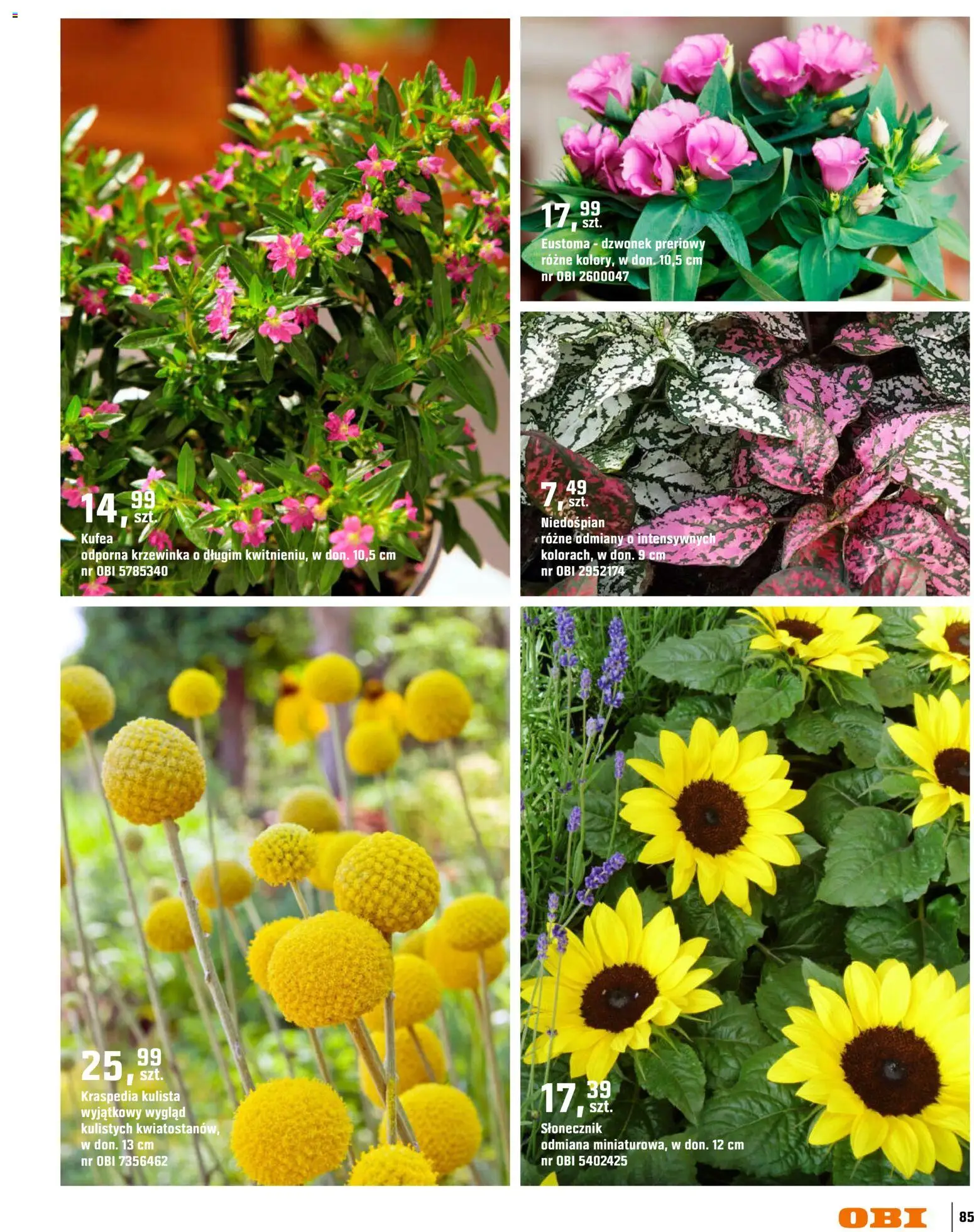 OBI gazetka - Ogród od 11.03.2026 | Strona: 85 | Produkty: Słonecznik