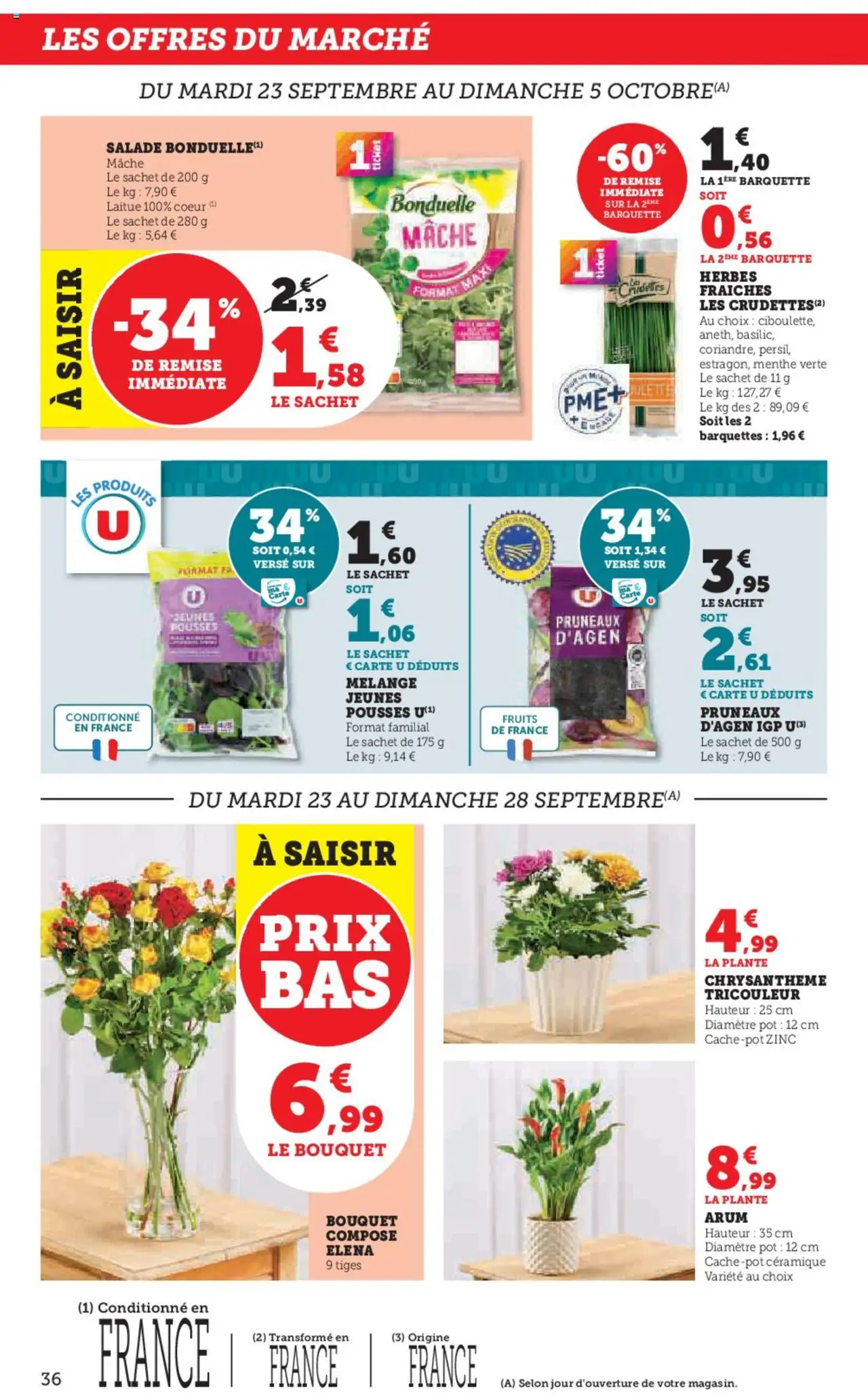  | Page: 36 | Produits: Menthe, Mâche, Pruneaux, Chrysanthème