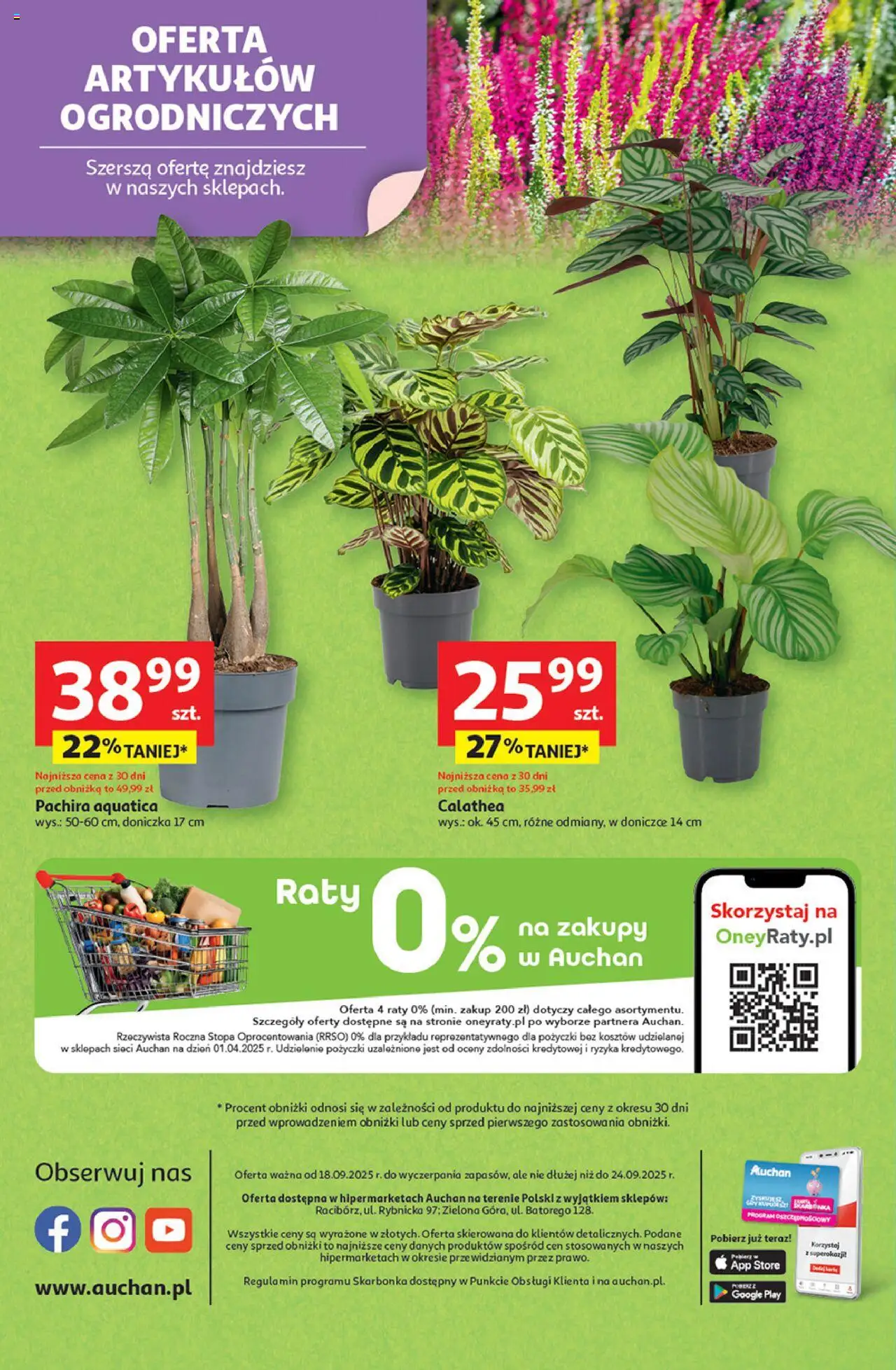 Auchan Gazetka - Pewność niskich cen Hipermarket od 18.09.2025 | Strona: 45 | Produkty: Doniczka