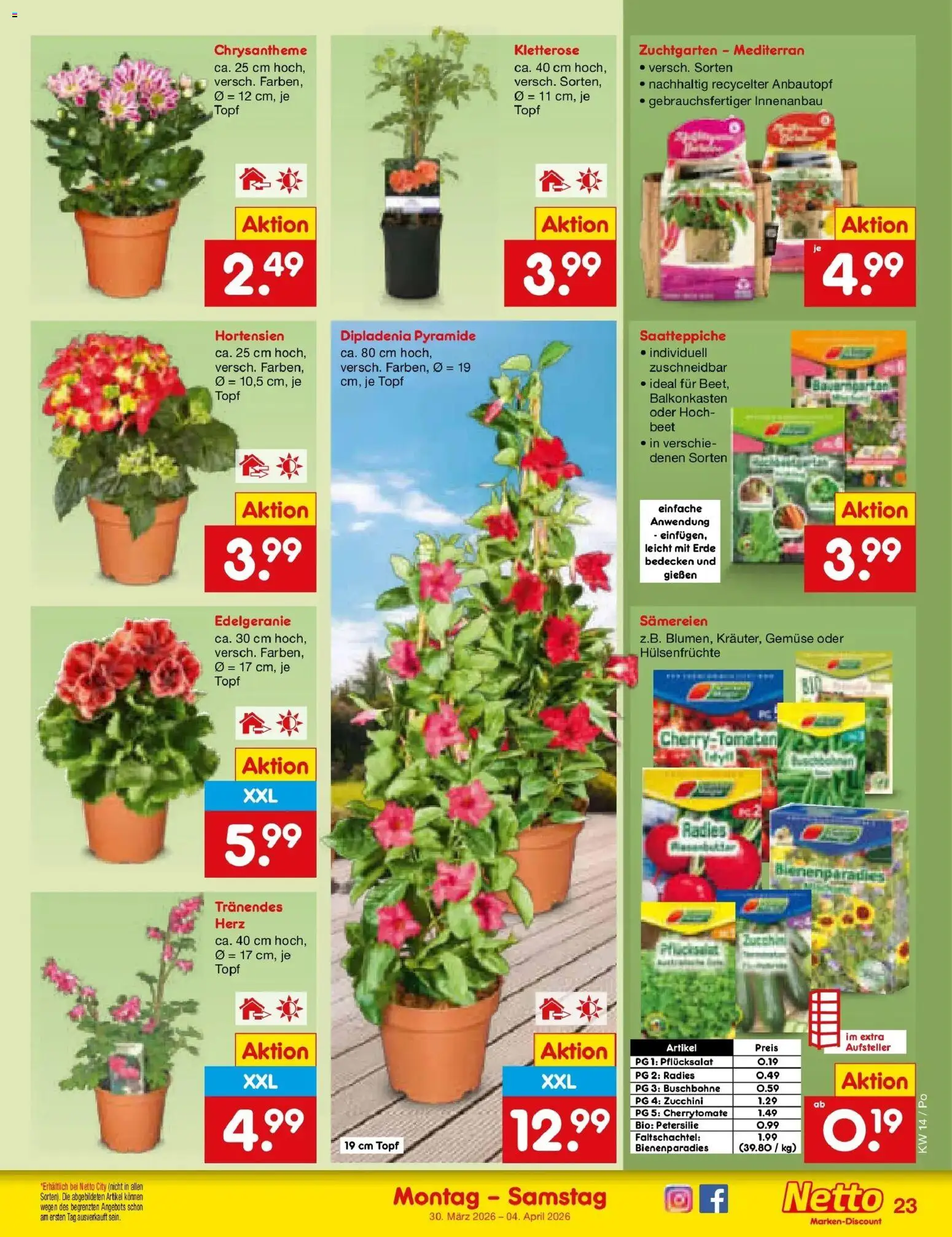 Netto Marken-Discount Prospekt Regensburg	 – gültig ab 30.03.2026 | Seite: 25 | Produkte: Gemüse, Petersilie, Zucchini