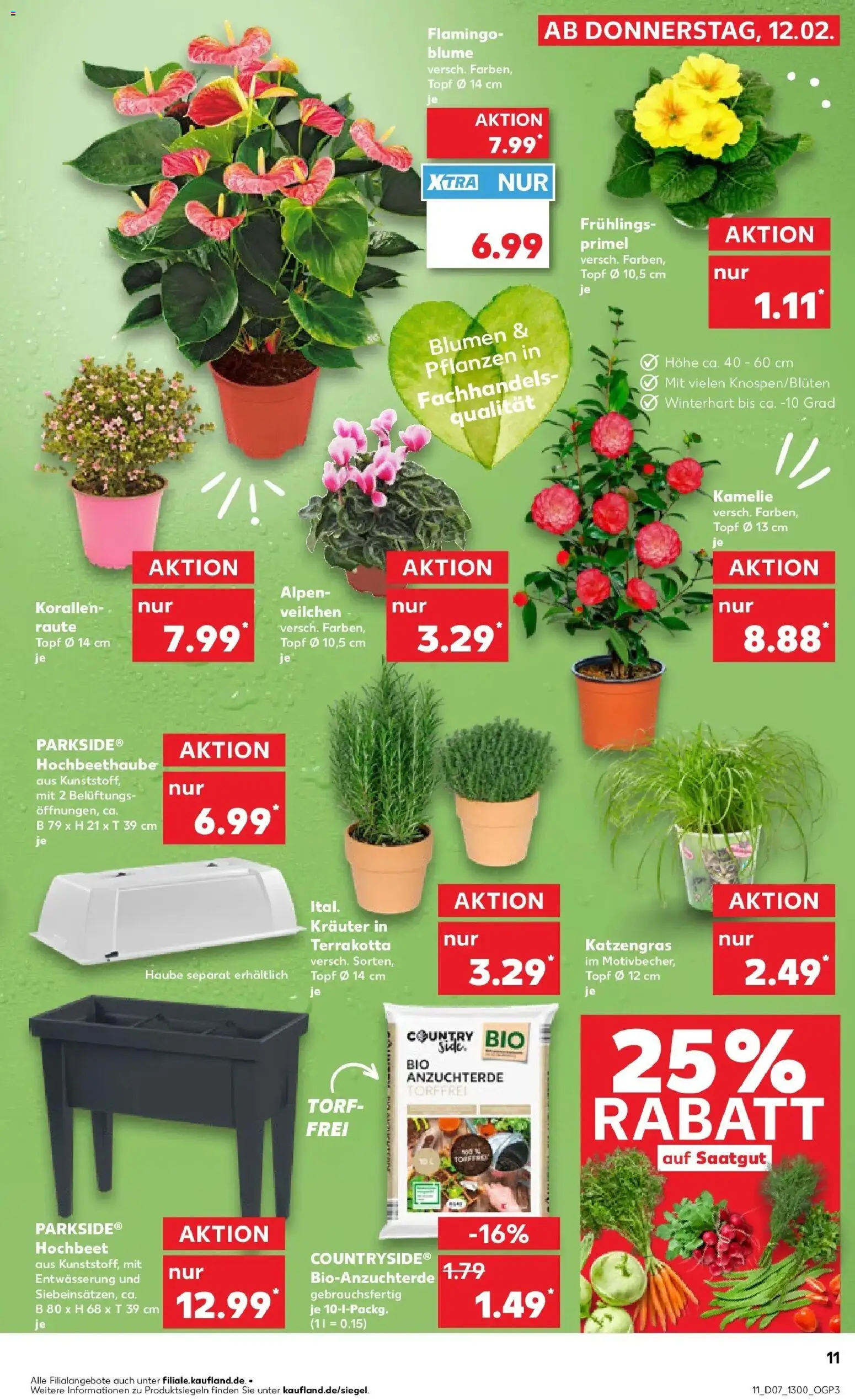 Kaufland prospekt Marktredwitz	 – gültig ab 16.02.2026 | Seite: 11 | Produkte: Hochbeet, Blumen
