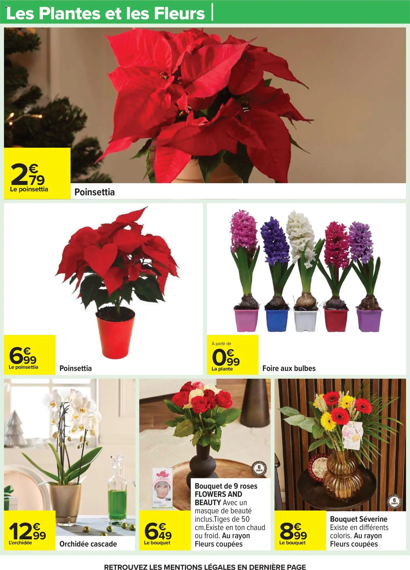 {H1} | Page: 23 | Produits: L'orchidée, Poinsettia, Masque, Orchidée