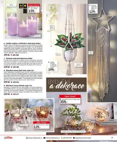 Velký Košík katalog září od 01.09.2025 | Strana: 37 | Produkty: Svícny, Květináč, LED, Dekorace