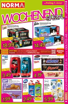 Norma Flugblatt ab 05.01.2025 gültig | Seite: 17