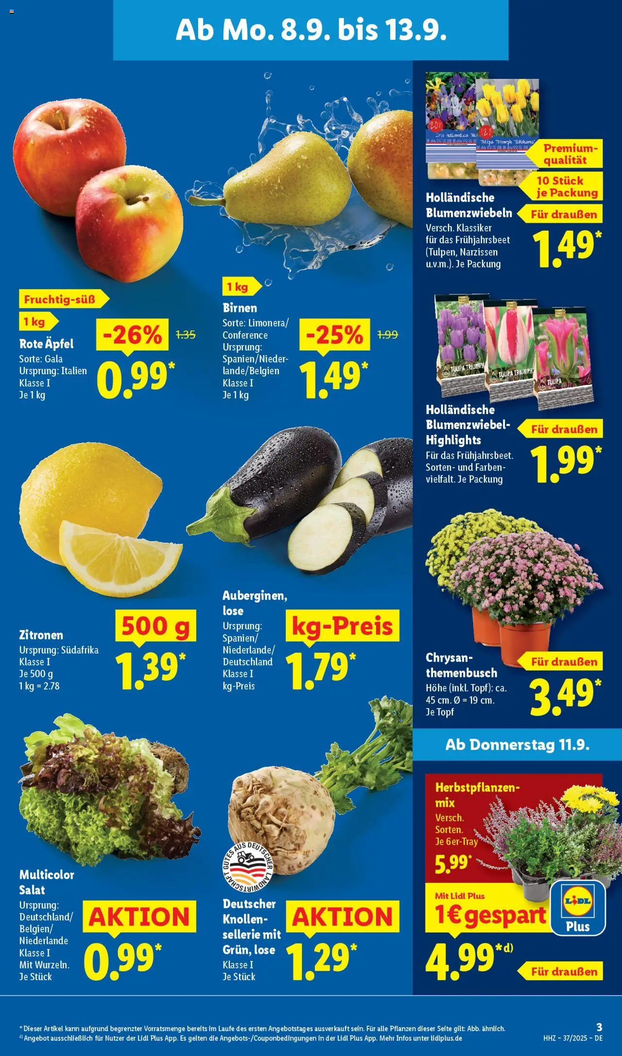 Lidl - Prospekt Düsseldorf – gültig ab 08.09.2025 | Seite: 3 | Produkte: Äpfel, Salat, Zitronen