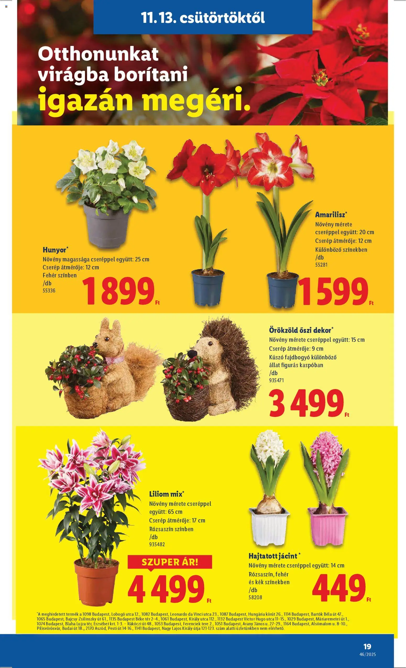 Lidl akciós ujság - amely érvényes a következő dátumtól: 13.11.2025 | Oldal: 19