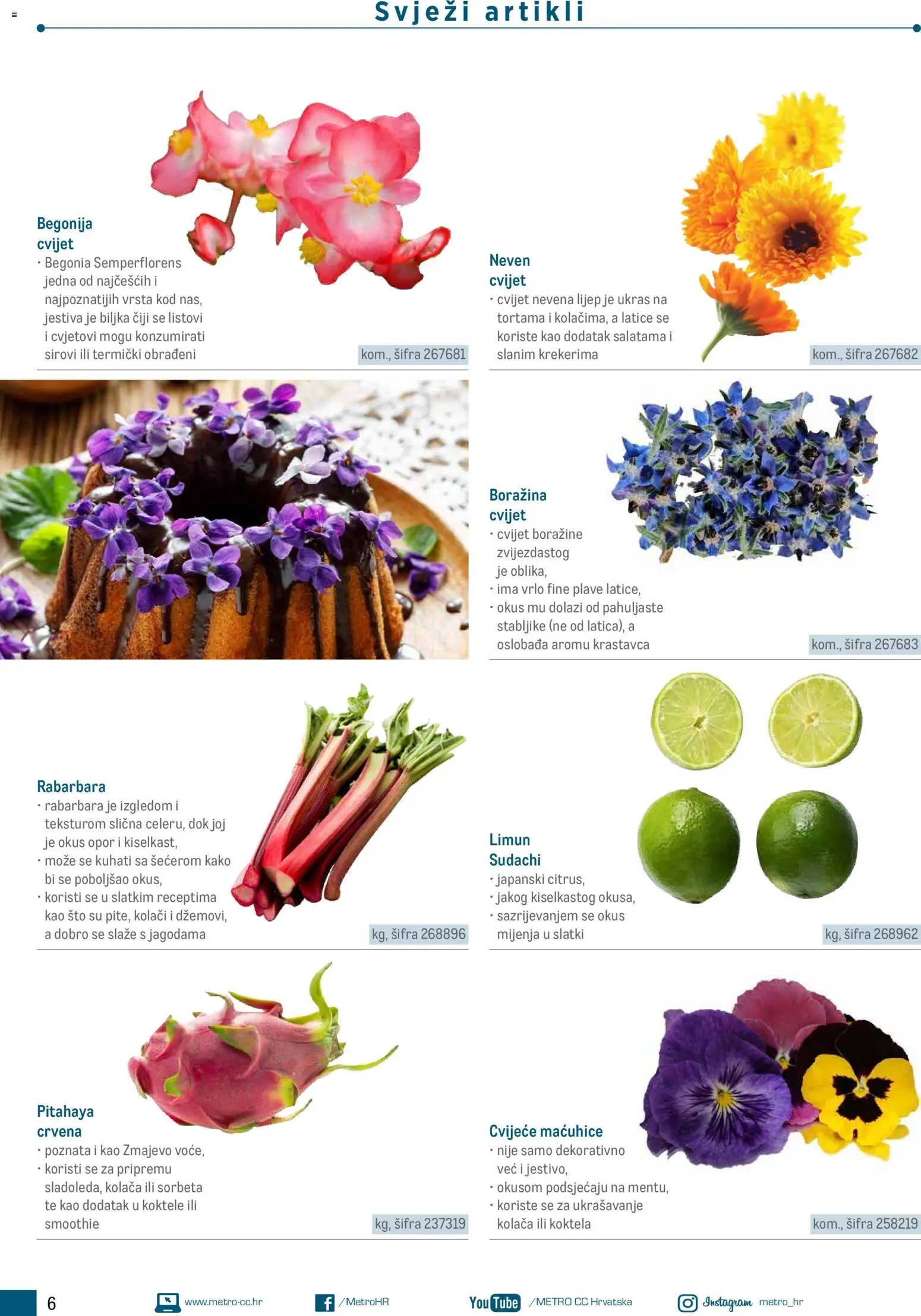 Metro katalog | vrijedi od 10.02.2026 | Stranica: 6