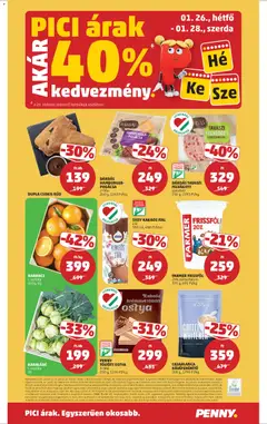 PENNY Akciós újság - amely érvényes a következő dátumtól: 22.01.2026 | Oldal: 24