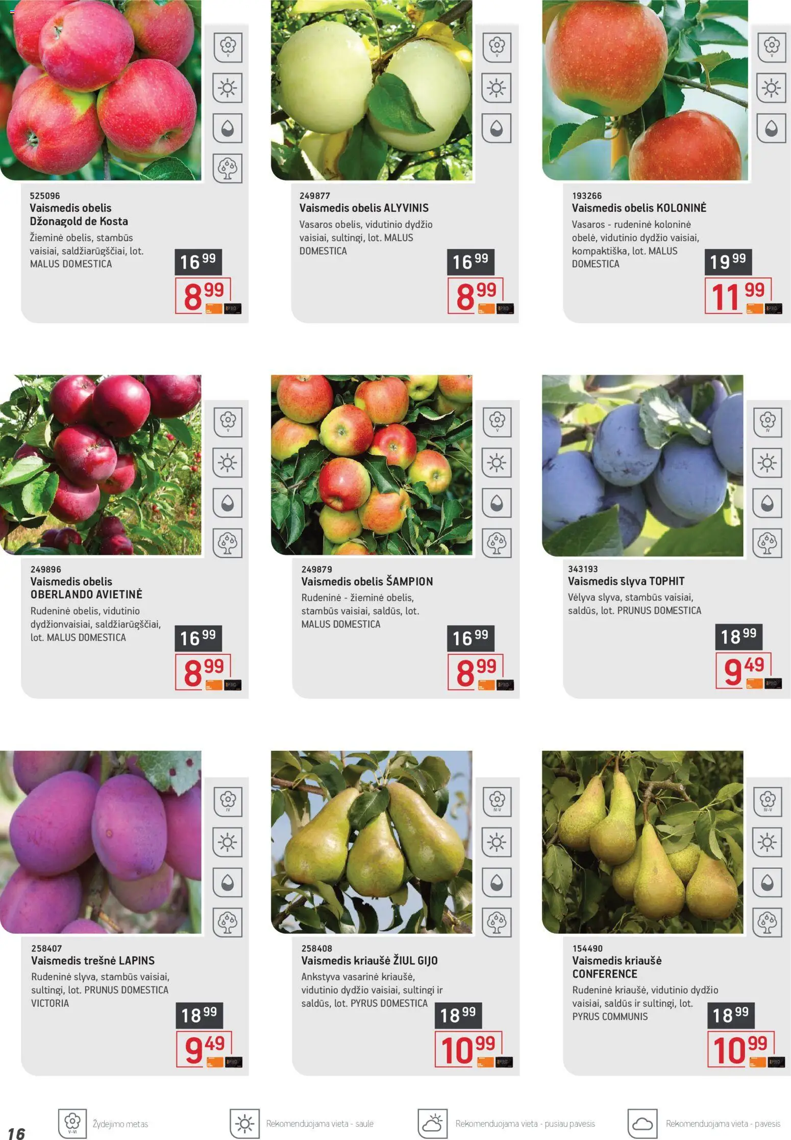 ERMITAŽAS akcijos nuo 01.04.2026 | Puslapis: 16