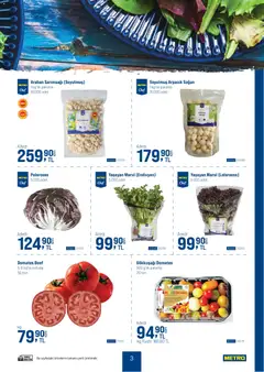17.12.2025 tarihinden itibaren geçerli olan Metro kataloğu önizlemesi | Sayfa: 3