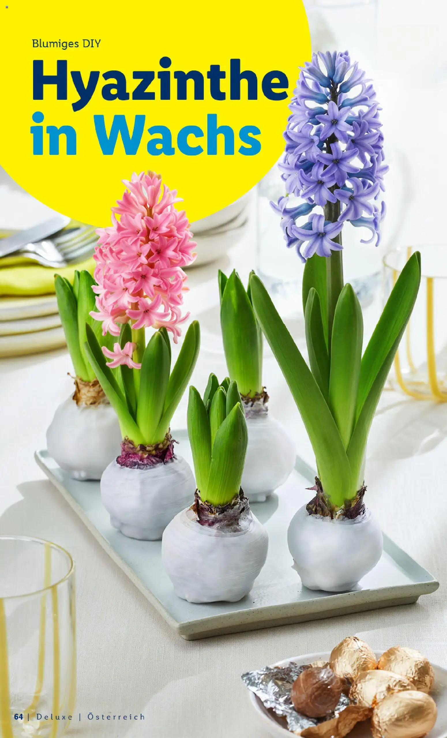 Lidl Gemeinsam genießen lohnt sich gültig ab 01.03.2026 | Seite: 64