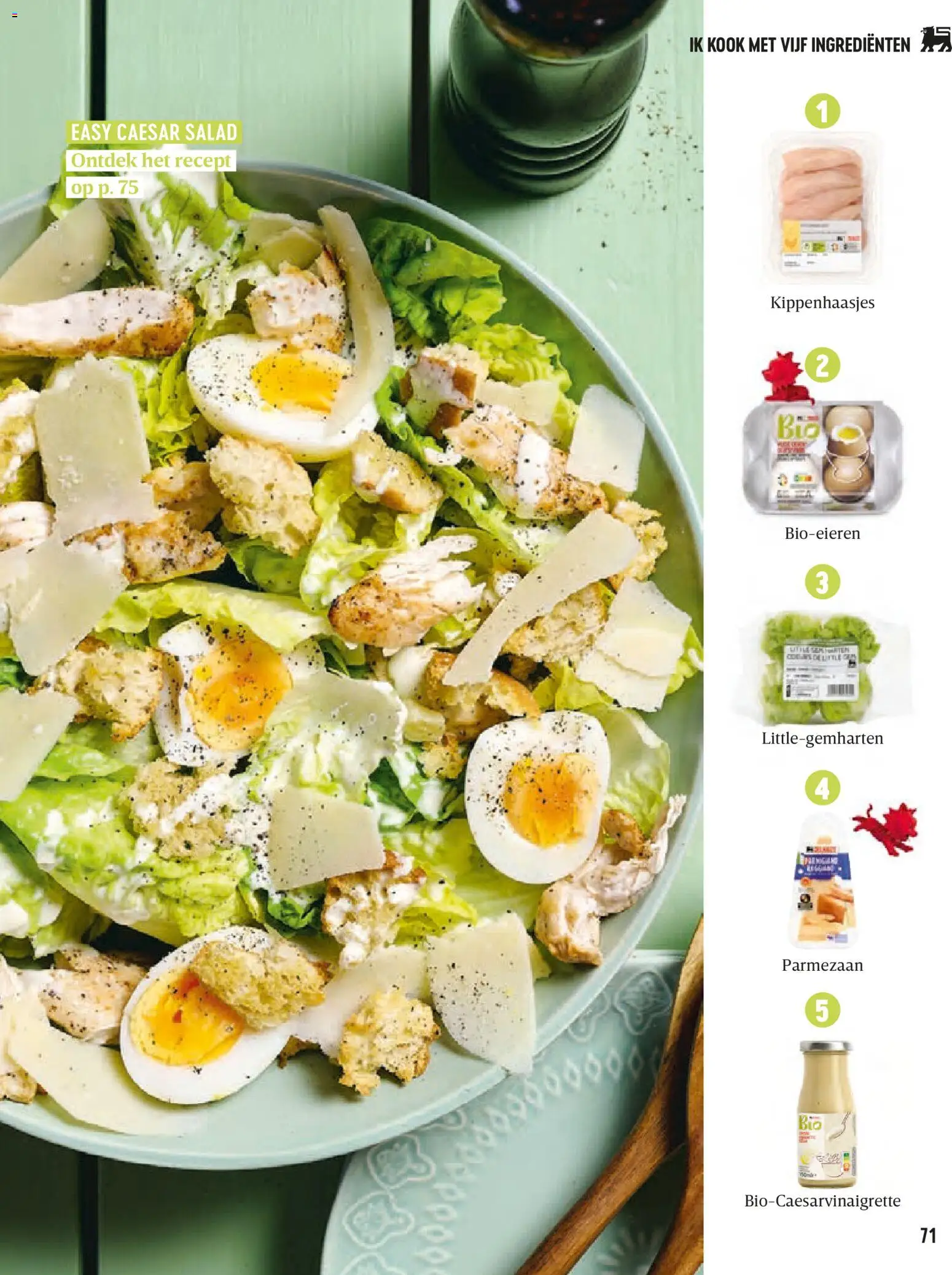 {H1} | Pagina: 71 | Producten: Parmezaan