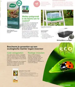Aveve Tuingids  - Voorbeeld van een folder van Aveve, geldig van 23.02.2026 | Pagina: 13
