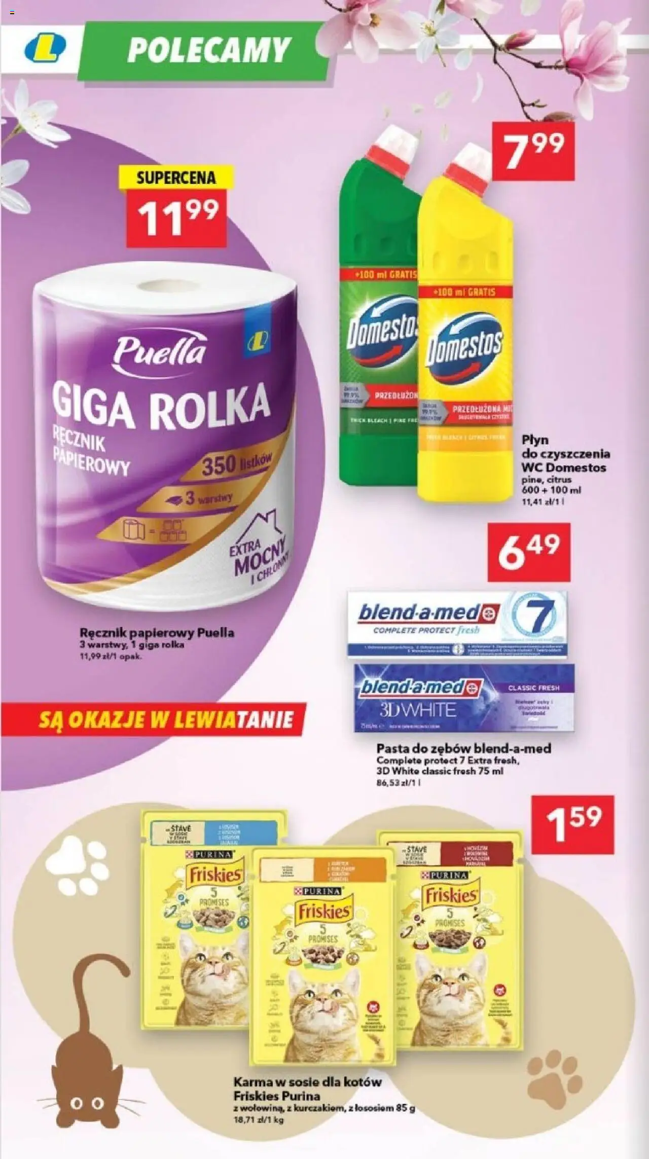 Lewiatan gazetka - Szczecin od 23.10.2025 | Strona: 14 | Produkty: Domestos, Pasta do zębów, Ręcznik papierowy
