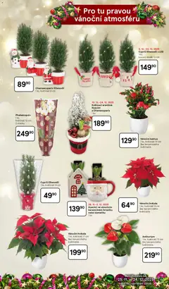 Náhled letáku Tesco katalog od 25.11.2025 | Strana: 15 | Produkty: Květináče, Kbelík, Květináč, LED