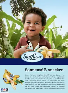 Billa Frisch Gekocht gültig ab 01.09.2025 | Seite: 74 | Produkte: Bananen