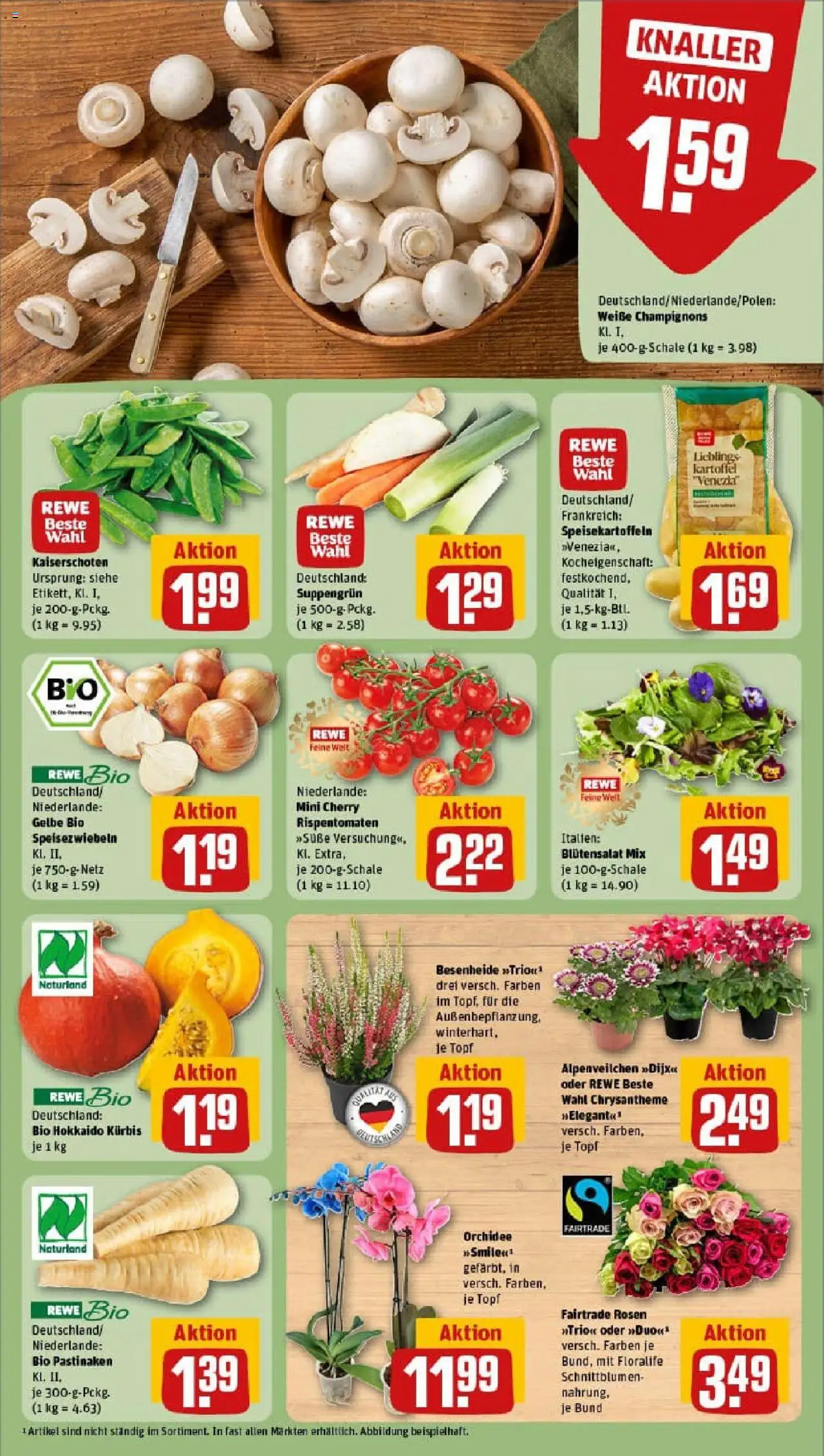 Rewe prospekt Bodelshausen	 – gültig ab 28.09.2025 | Seite: 11 | Produkte: Orchidee, Champignons, Kürbis