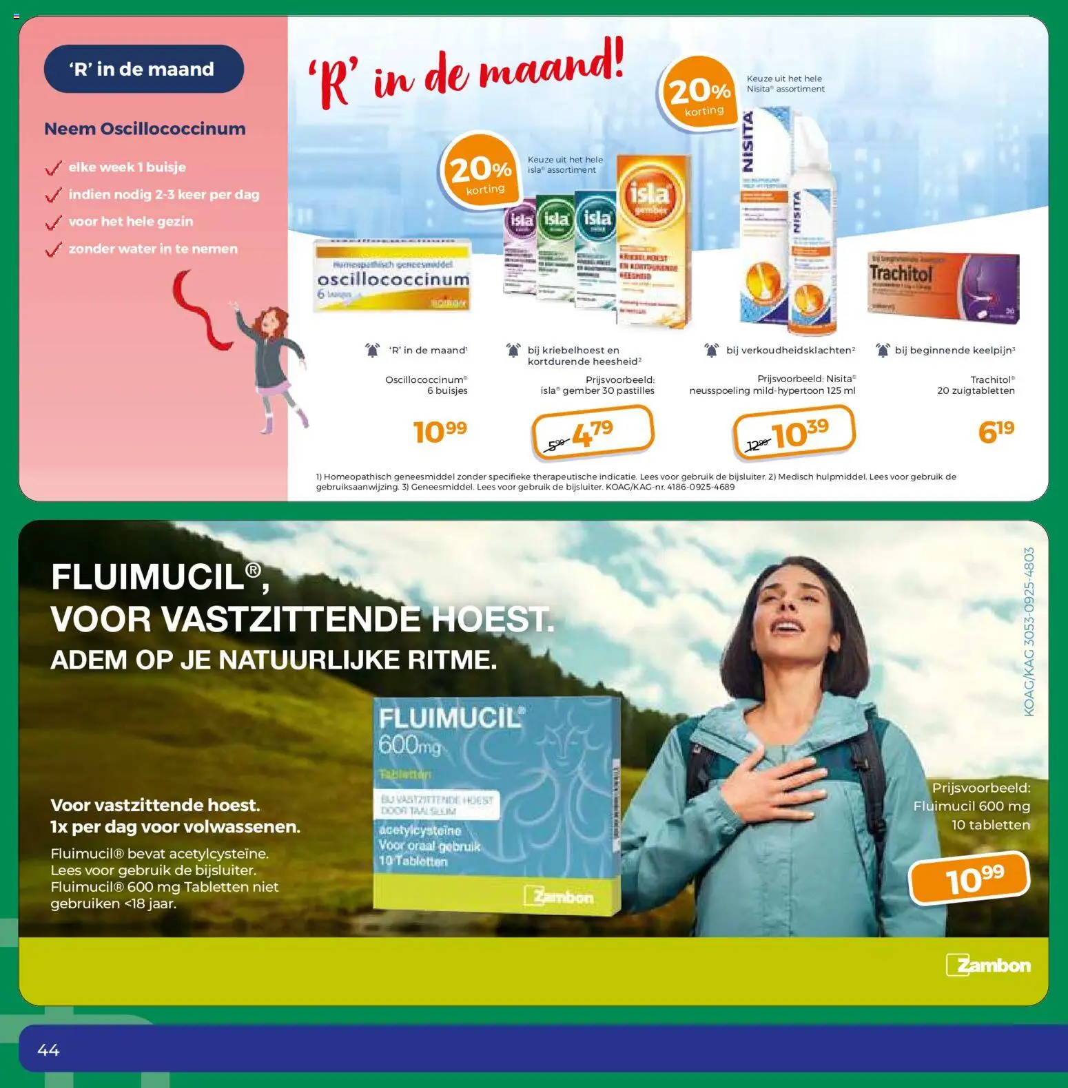 {H1} | Pagina: 44 | Producten: Festék, Gember, Zuigtabletten