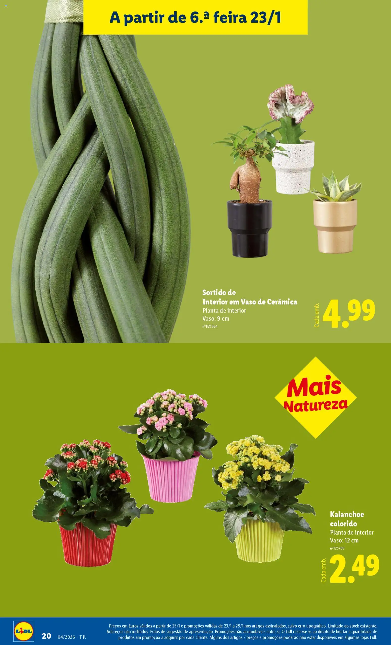 Lidl Novidades │ válido de 19.01.2026 | Página: 20 | Produtos: Vaso