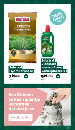 Aveve folder - Voorbeeld van een folder van Aveve, geldig van 11.02.2026 | Pagina: 13 | Producten: Kamerplanten