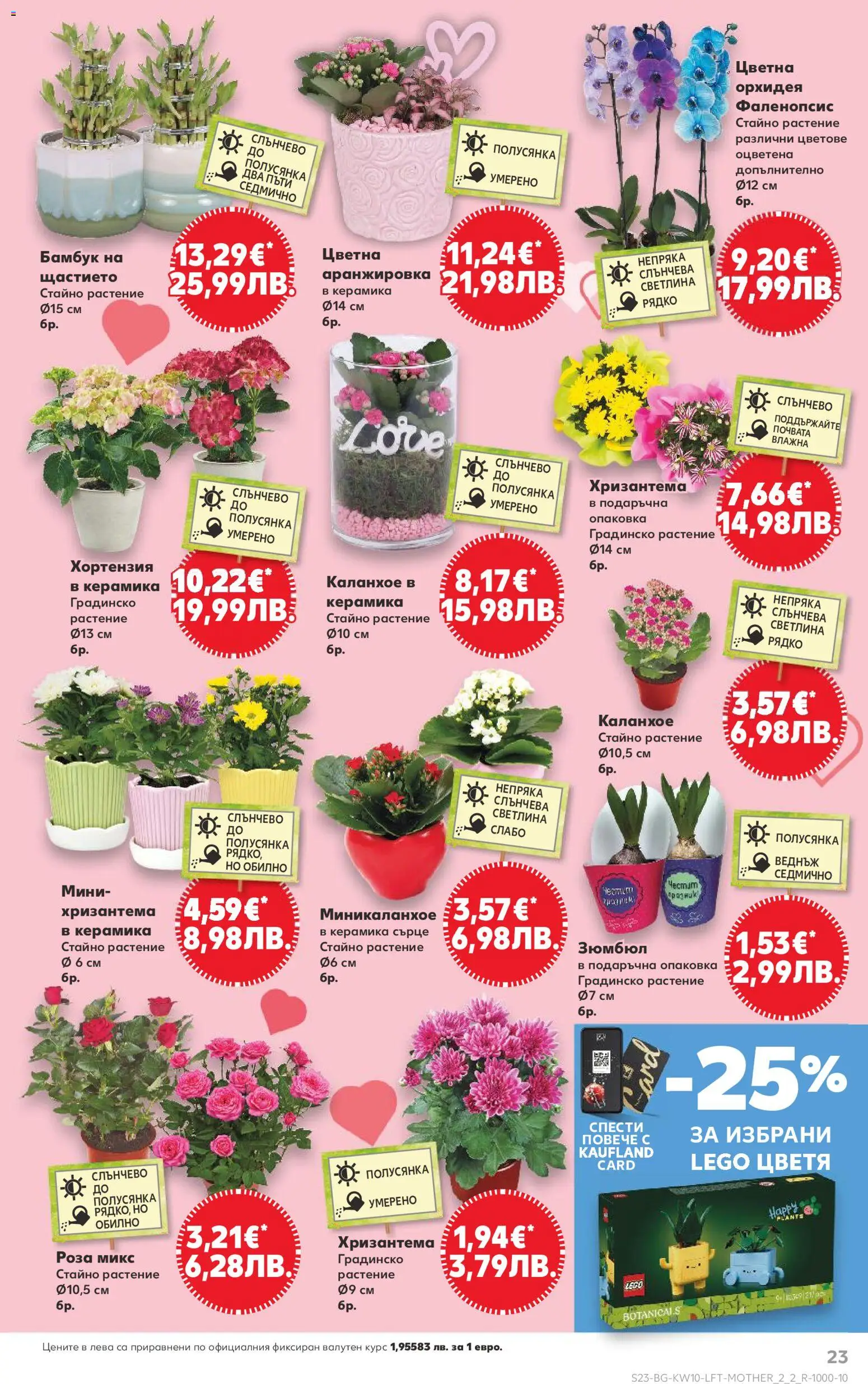 {H1} | Страница: 23 | Продукти: Орхидея, Хризантема, Роза